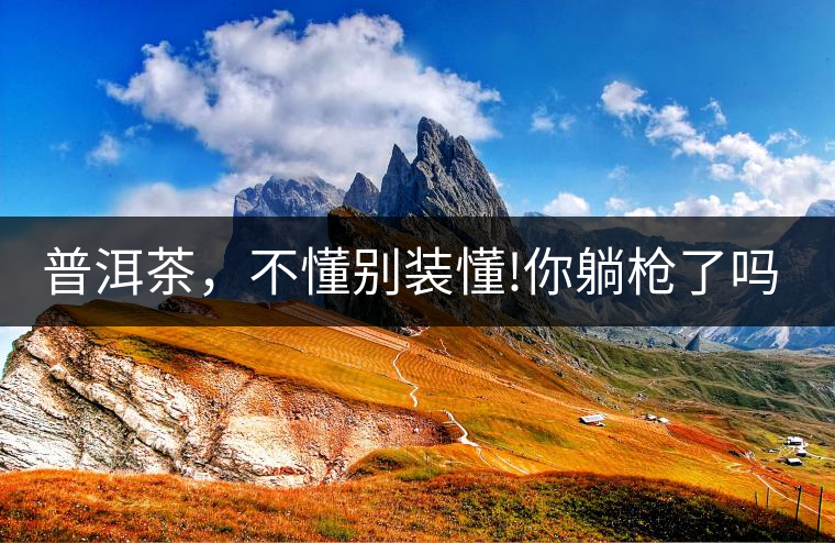 普洱茶，不懂別裝懂!你躺槍了嗎?