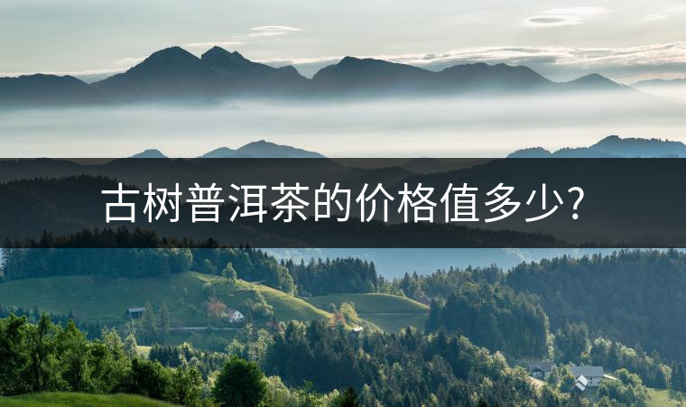 古樹(shù)普洱茶的價(jià)格值多少? 古樹(shù)普洱茶的價(jià)格值多少?