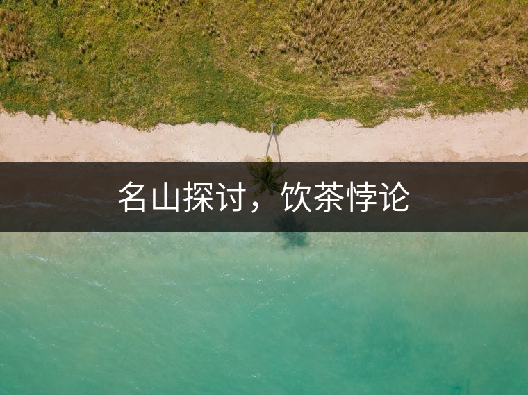 名山探討，飲茶悖論