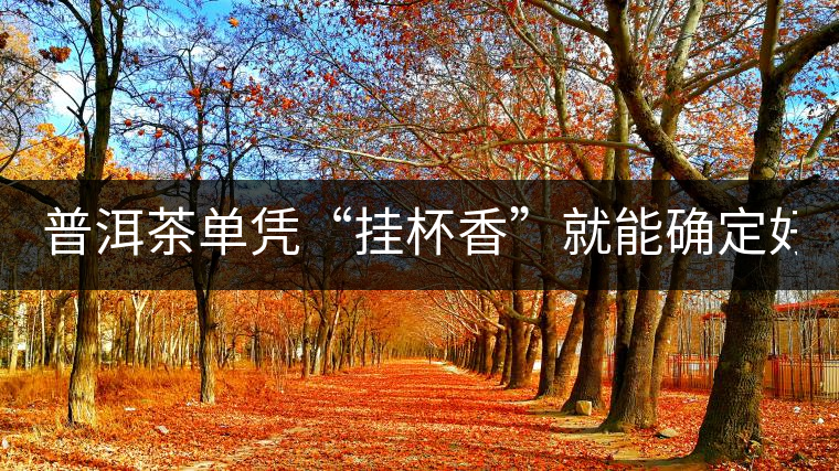 普洱茶單憑“掛杯香”就能確定好壞？you錯(cuò)了！