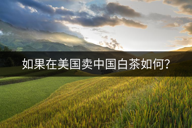 如果在美國(guó)賣中國(guó)白茶如何？