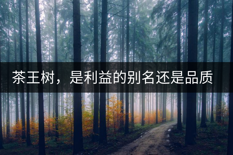 茶王樹，是利益的別名還是品質(zhì)的象征？