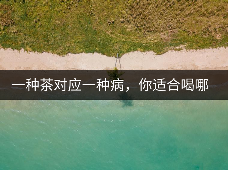 一種茶對(duì)應(yīng)一種病，你適合喝哪一種呢？