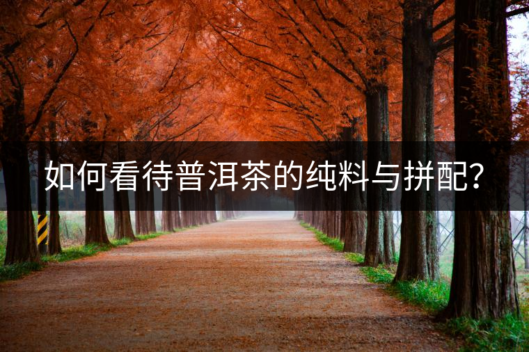 如何看待普洱茶的純料與拼配？