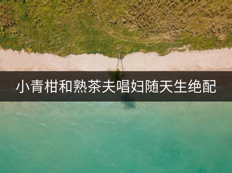 小青柑和熟茶夫唱婦隨天生絕配