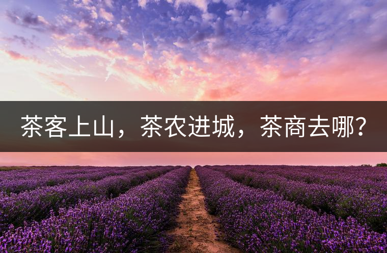 茶客上山，茶農(nóng)進(jìn)城，茶商去哪？