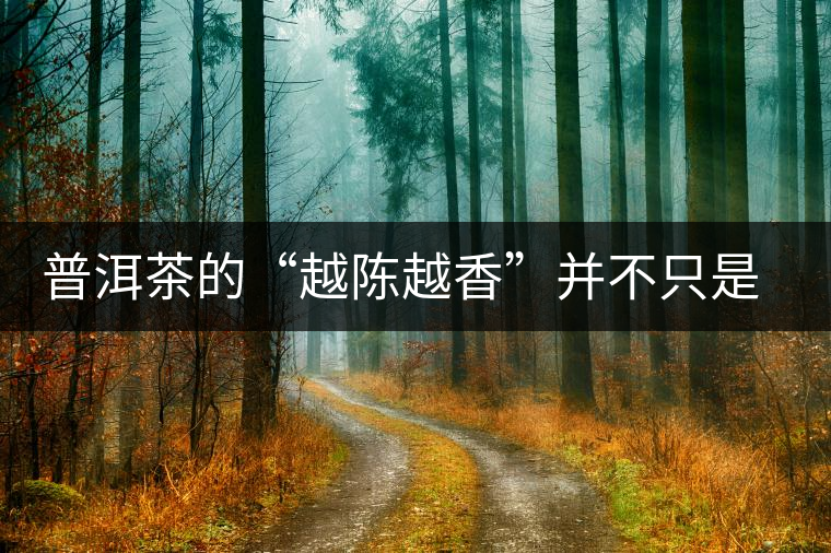 普洱茶的“越陳越香”并不只是時間的饋贈 普洱茶的“越陳越香”并不只是時間的饋贈