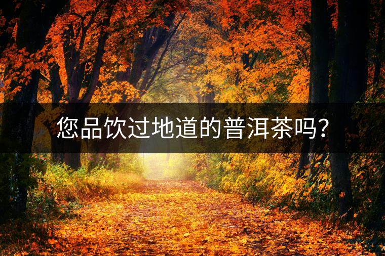 您品飲過地道的普洱茶嗎？