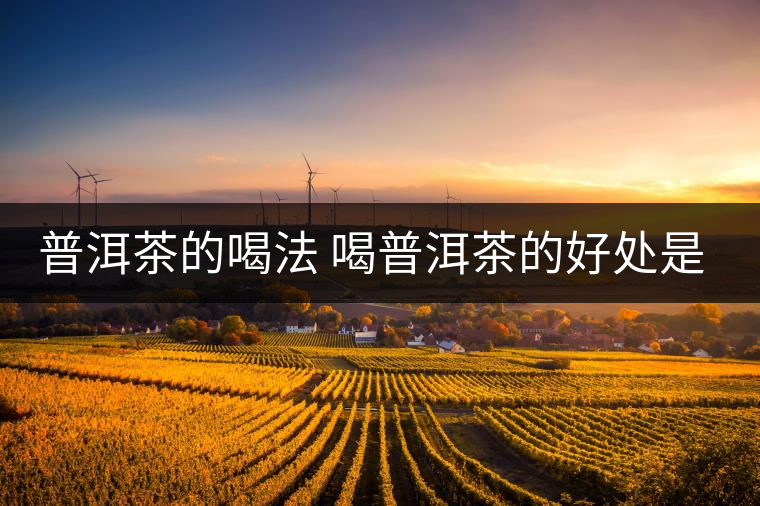 普洱茶的喝法 喝普洱茶的好處是什么？