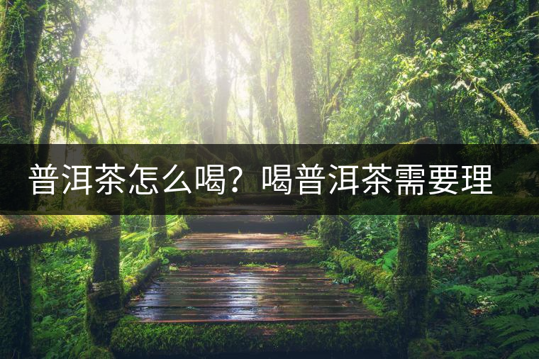 普洱茶怎么喝？喝普洱茶需要理由嗎？