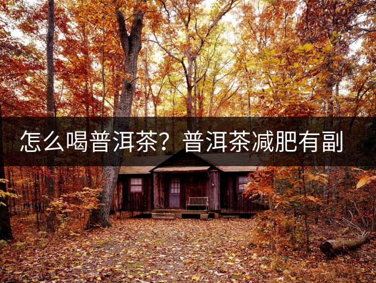 怎么喝普洱茶？普洱茶減肥有副作用嗎？