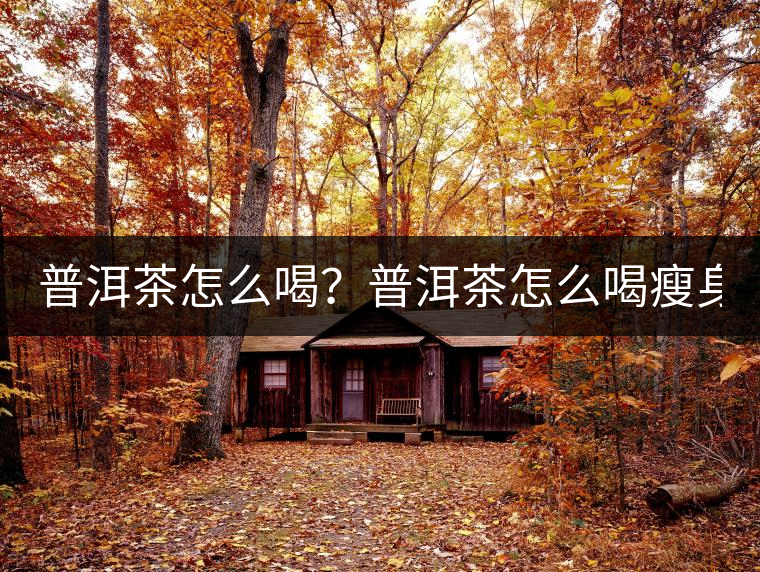 普洱茶怎么喝？普洱茶怎么喝瘦身？