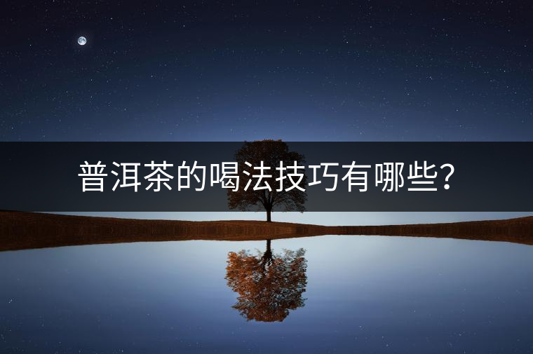 普洱茶的喝法技巧有哪些？