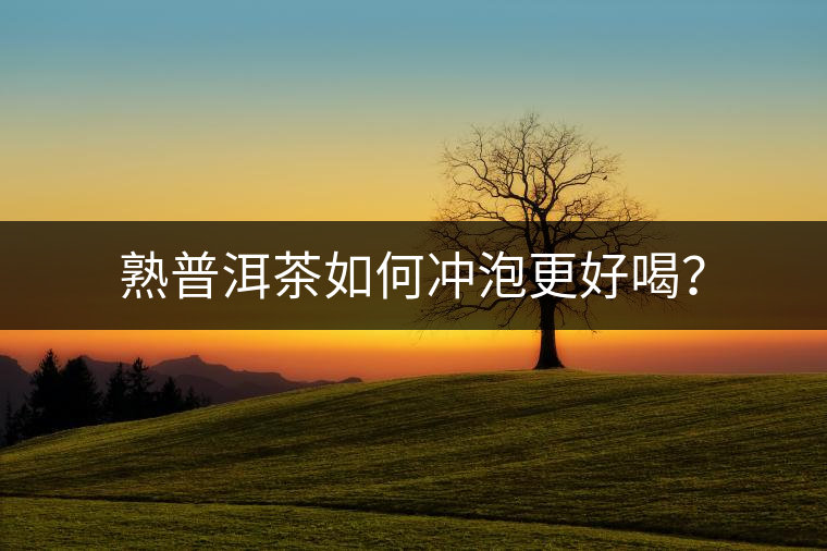 熟普洱茶如何沖泡更好喝？