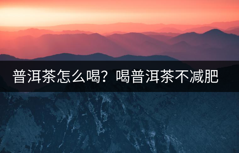 普洱茶怎么喝？喝普洱茶不減肥是為什么呢？喝普洱茶減肥要注意什么？