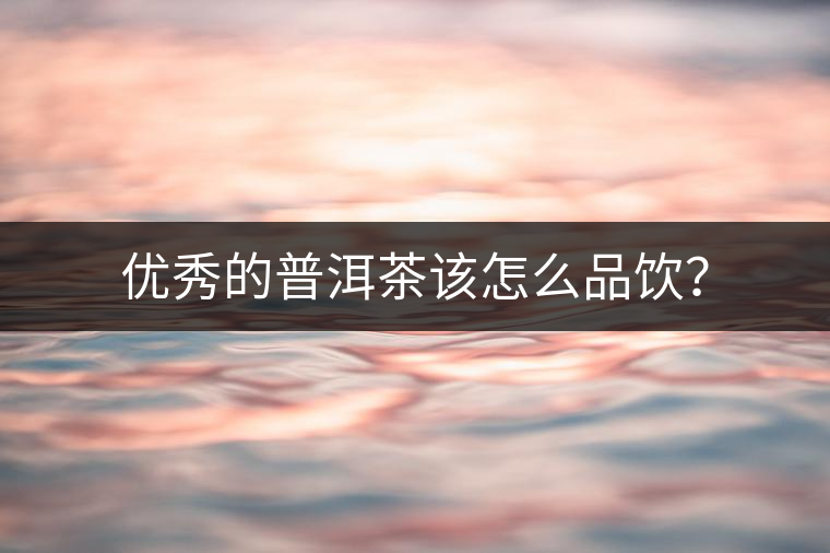 優(yōu)秀的普洱茶該怎么品飲？