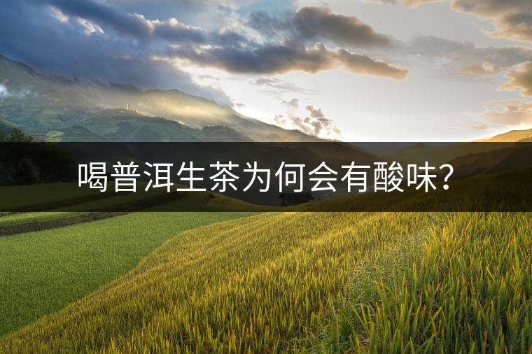 喝普洱生茶為何會(huì)有酸味？