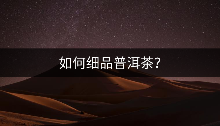 如何細品普洱茶？