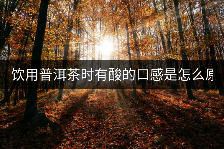 飲用普洱茶時(shí)有酸的口感是怎么原因？