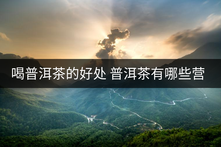 喝普洱茶的好處 普洱茶有哪些營(yíng)養(yǎng)價(jià)值？