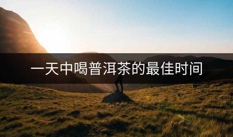一天中喝普洱茶的最佳時(shí)間 一天中喝普洱茶的最佳時(shí)間