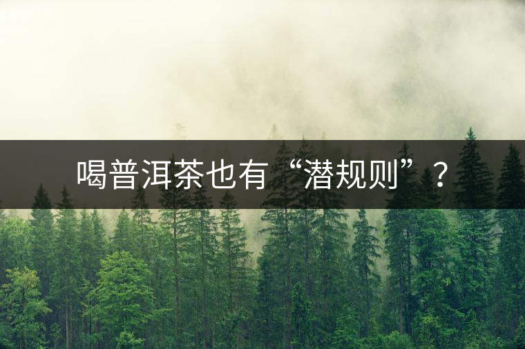 喝普洱茶也有“潛規(guī)則”？