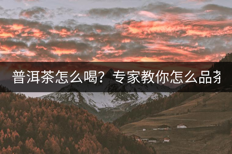 普洱茶怎么喝？專家教你怎么品茶？