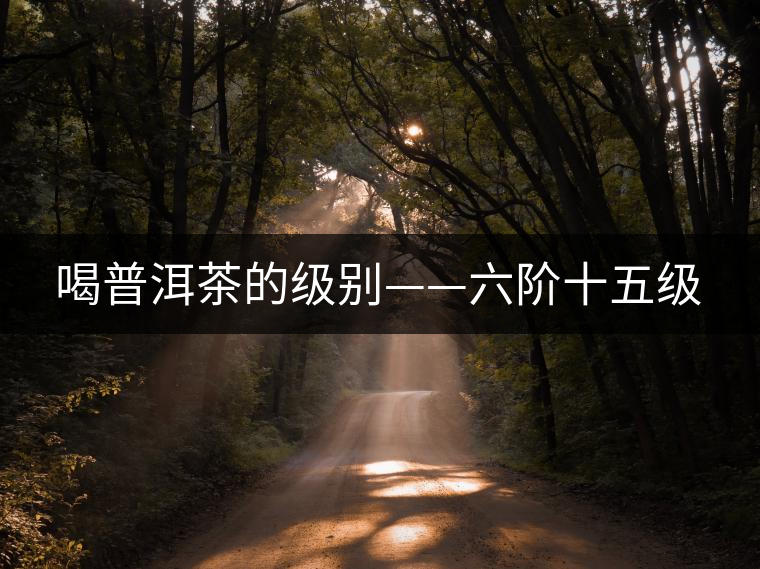 喝普洱茶的級別——六階十五級 喝普洱茶的級別——六階十五級