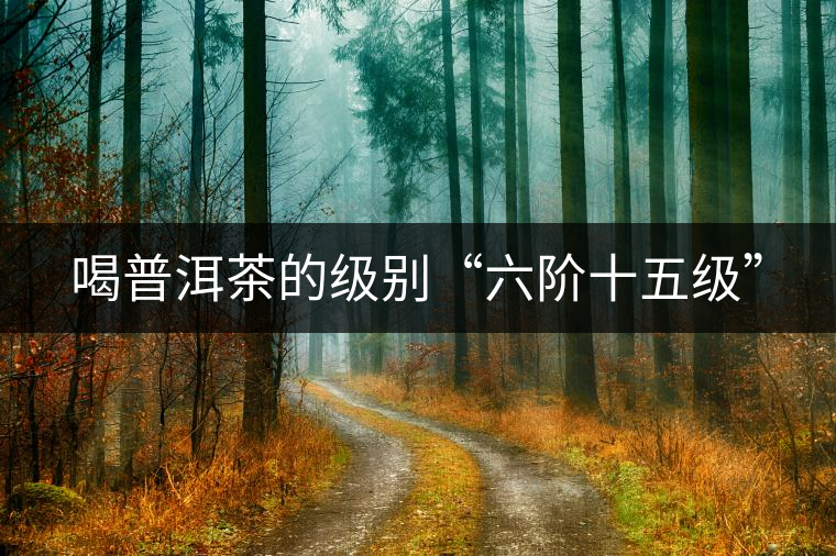 喝普洱茶的級別“六階十五級” 喝普洱茶的級別“六階十五級”