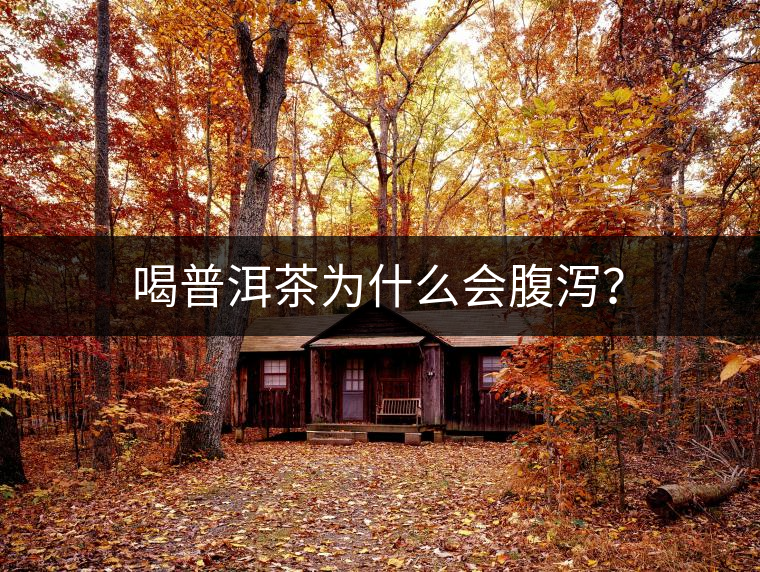喝普洱茶為什么會(huì)腹瀉？