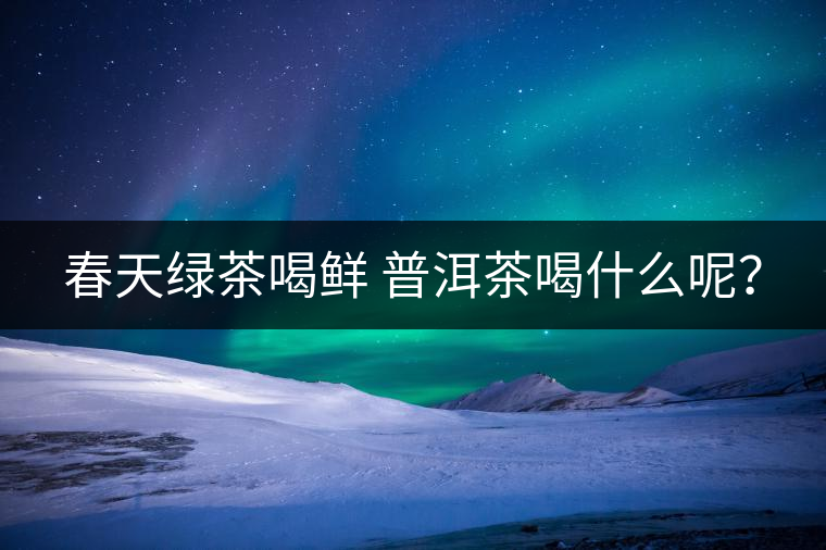 春天綠茶喝鮮 普洱茶喝什么呢？