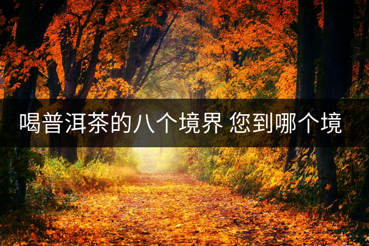 喝普洱茶的八個(gè)境界 您到哪個(gè)境界了？