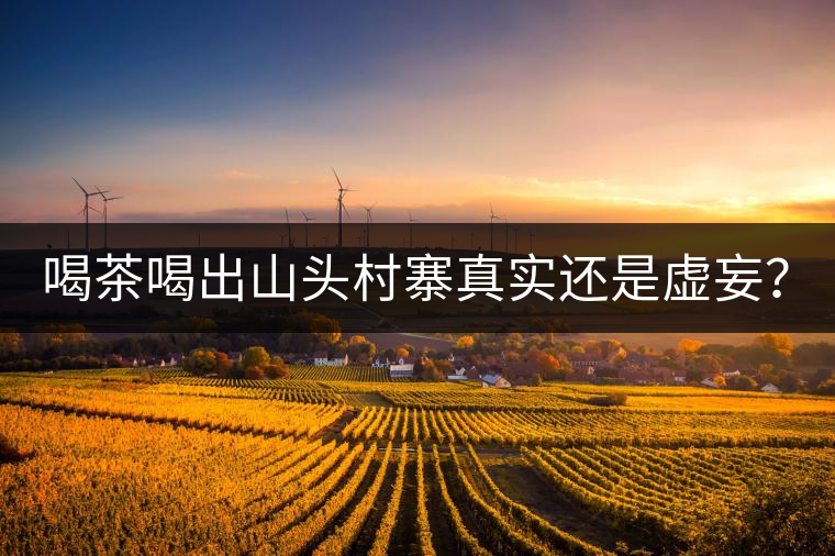喝茶喝出山頭村寨真實還是虛妄？