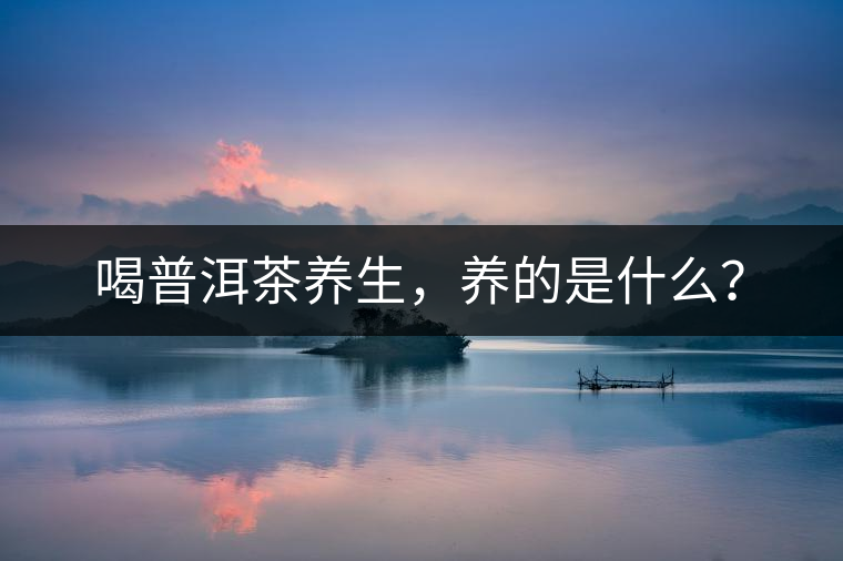 喝普洱茶養(yǎng)生，養(yǎng)的是什么？