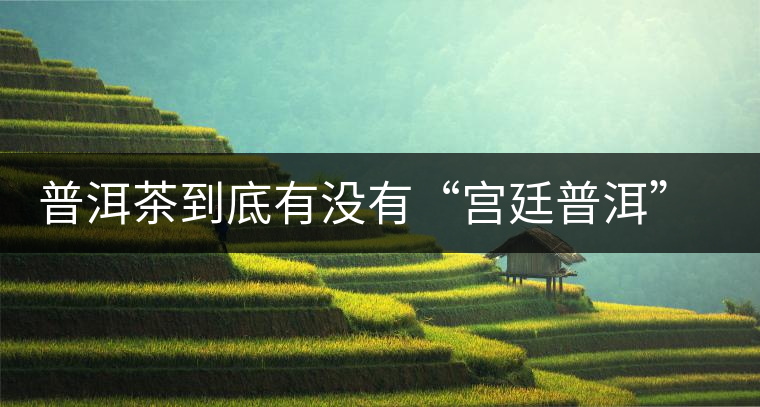 普洱茶到底有沒(méi)有“宮廷普洱”一說(shuō)？它到底是什么？