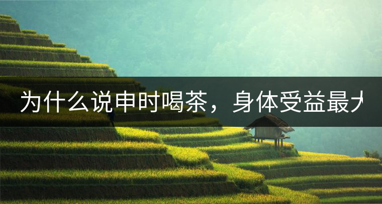 為什么說申時喝茶，身體受益最大？