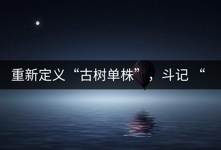 重新定義“古樹單株”，斗記 “超級審評”有償招募告罄在即！
