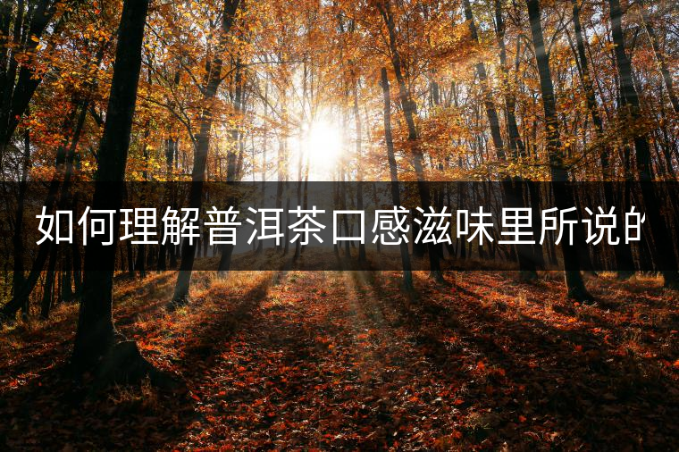 如何理解普洱茶口感滋味里所說的“化” 如何理解普洱茶口感滋味里所說的“化”