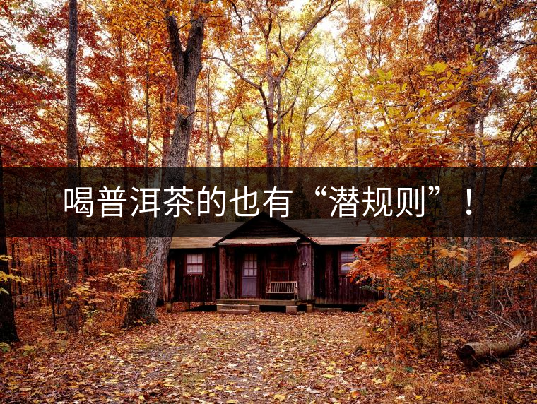 喝普洱茶的也有“潛規(guī)則”！