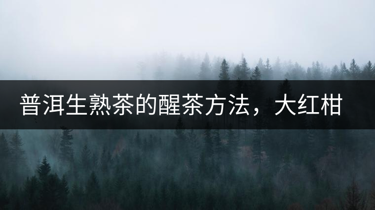 普洱生熟茶的醒茶方法，大紅柑與小青柑對比