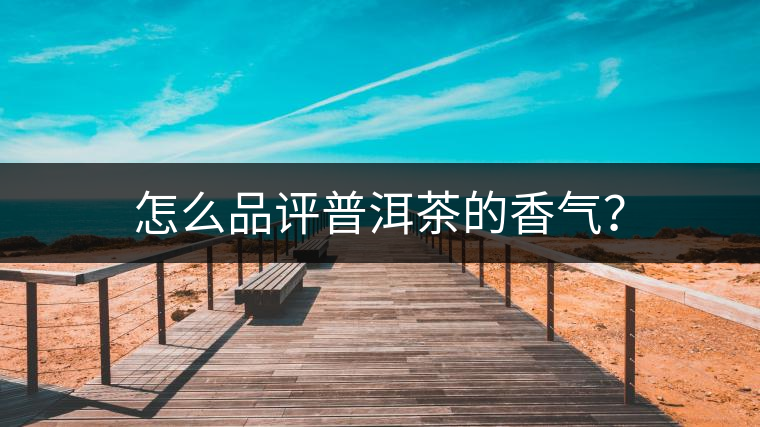 怎么品評普洱茶的香氣？
