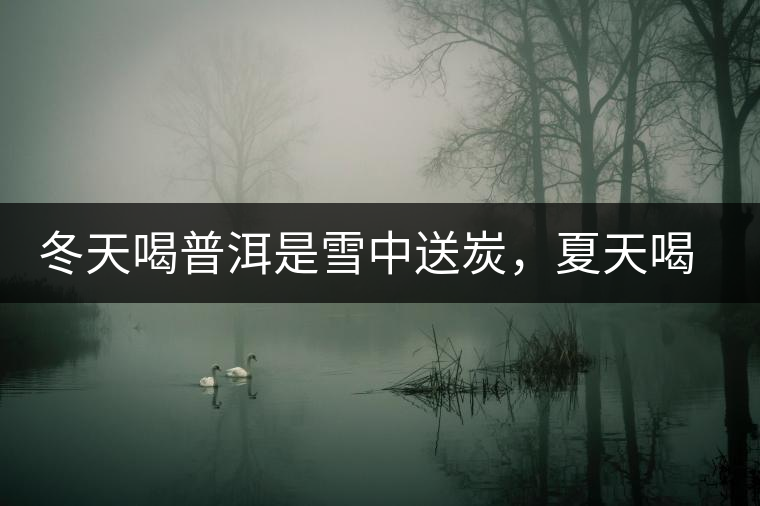 冬天喝普洱是雪中送炭，夏天喝就是火上澆油了？