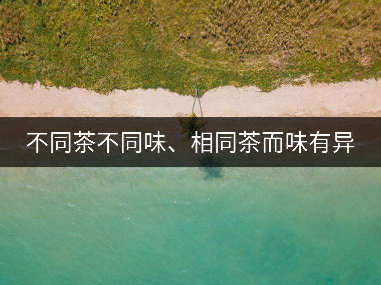 不同茶不同味、相同茶而味有異