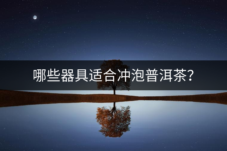 哪些器具適合沖泡普洱茶？