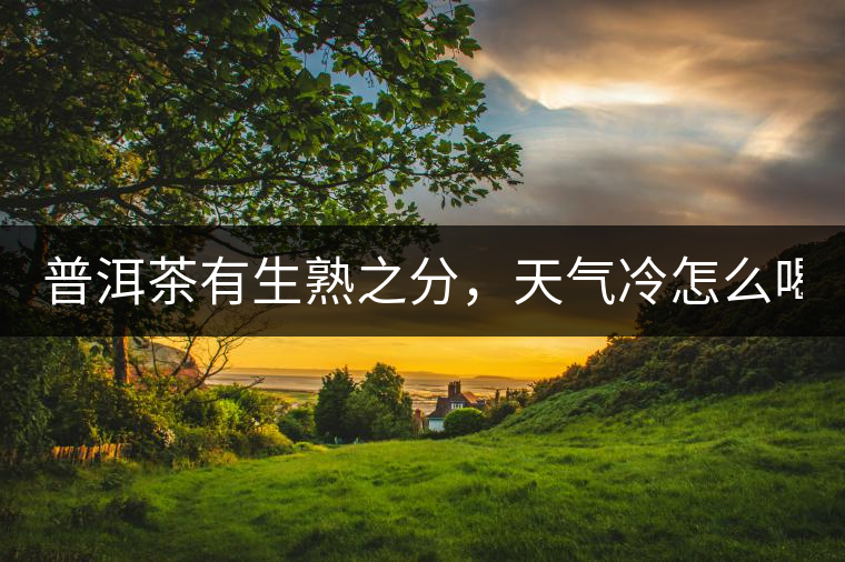 普洱茶有生熟之分，天氣冷怎么喝？