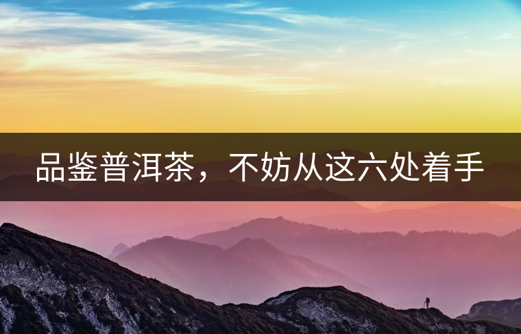 品鑒普洱茶，不妨從這六處著手