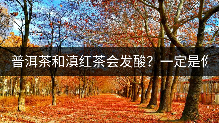 普洱茶和滇紅茶會發(fā)酸？一定是你這么做了！