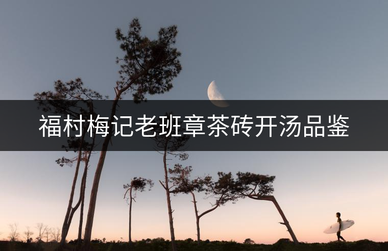 福村梅記老班章茶磚開湯品鑒 福村梅記老班章茶磚開湯品鑒