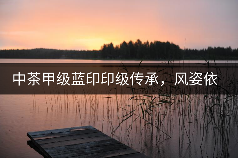 中茶甲級(jí)藍(lán)印印級(jí)傳承，風(fēng)姿依舊
