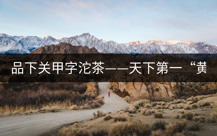 品下關(guān)甲字沱茶——天下第一“黃金甲” 品下關(guān)甲字沱茶——天下第一“黃金甲”